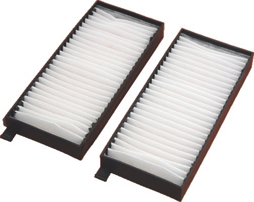 Filter, cabin air (17453F-X2)