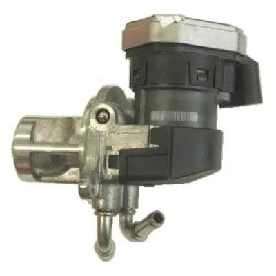 EGR Valve (88071R)