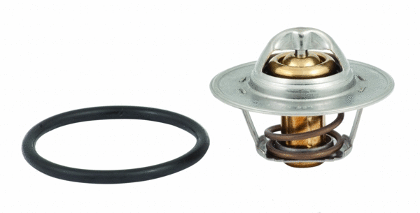 Thermostat, coolant (92545)