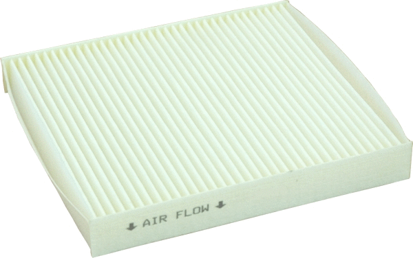 Filter, cabin air (17509)