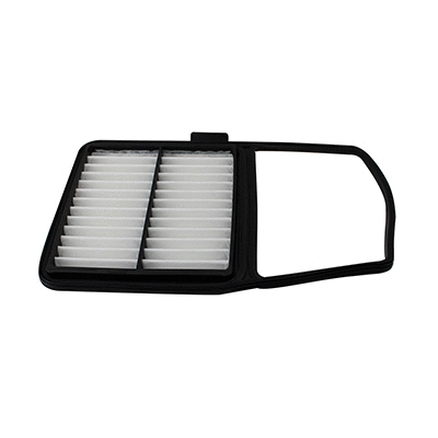 Air Filter (18302/1)