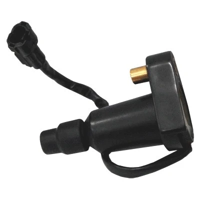 Ignition Coil (10631)