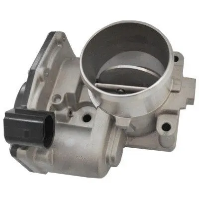 Throttle Body (89319)