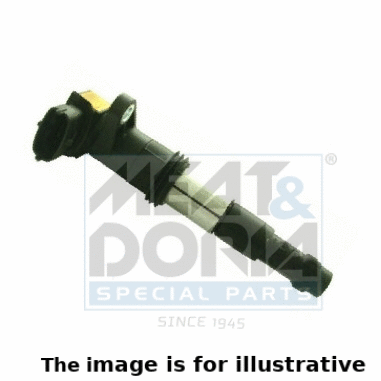 Ignition Coil (10313/1)