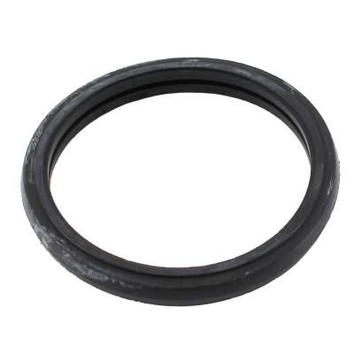 Seal, thermostat (016109)