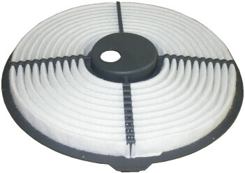 Air Filter (16295)