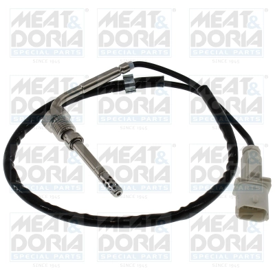 Sensor, exhaust gas temperature (12757)