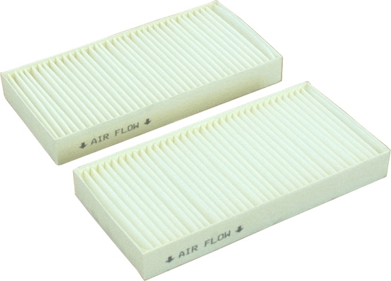Filter, cabin air (17507-X2)