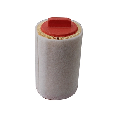 Air Filter (18605)