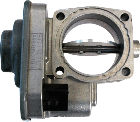 Throttle Body (89124)