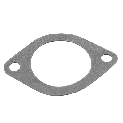Seal, thermostat (016101)