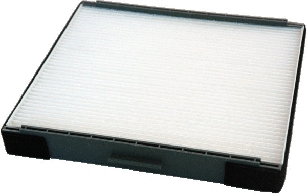 Filter, cabin air (17029F)