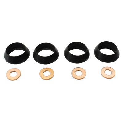 Seal Ring, injector (98497)