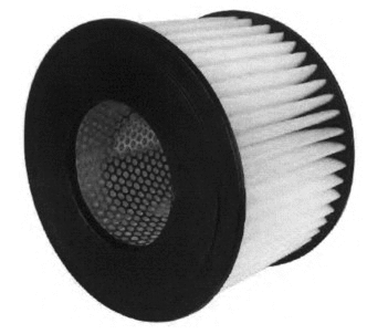 Air Filter (16519)