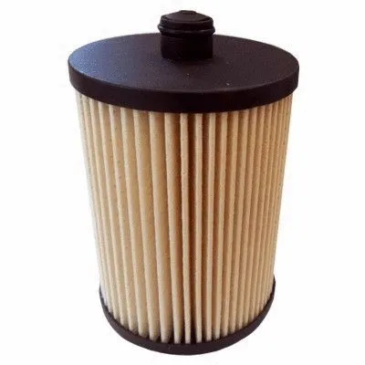 Fuel Filter (5055)
