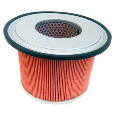 Air Filter (18129)
