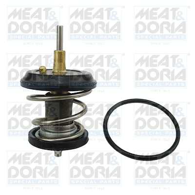 Thermostat, coolant (92616)