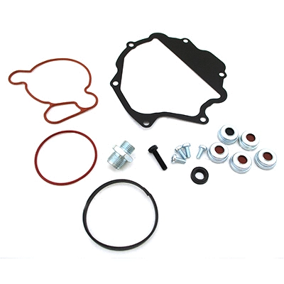 Repair Set, vacuum pump (braking system) (91208)