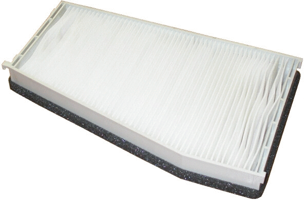Filter, cabin air (17041F)