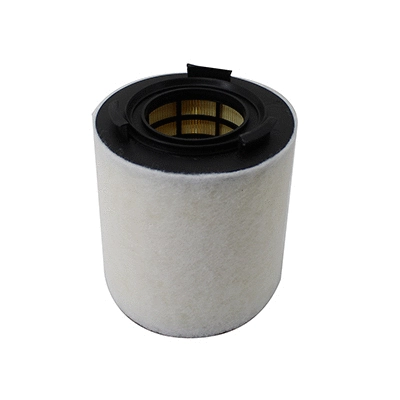 Air Filter (18479)