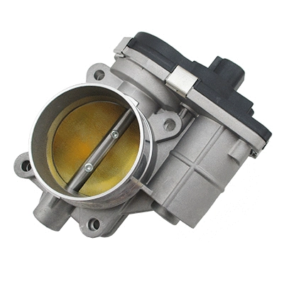 Throttle Body (89462E)