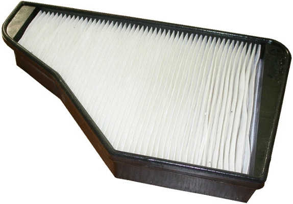 Filter, cabin air (17219F)