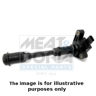 Ignition Coil (10768E)