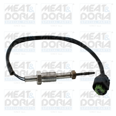 Sensor, exhaust gas temperature (12028E)