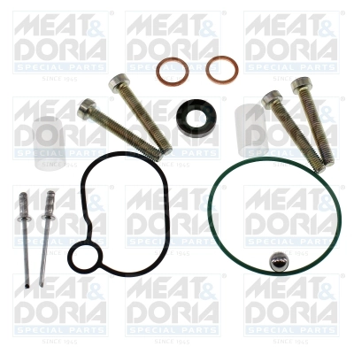 Repair Kit, fuel pump (98781)