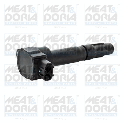 Ignition Coil (10800)