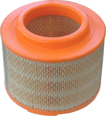 Air Filter (18350)