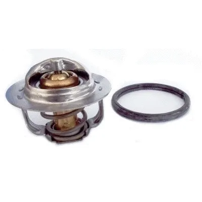 Thermostat, coolant (92834)