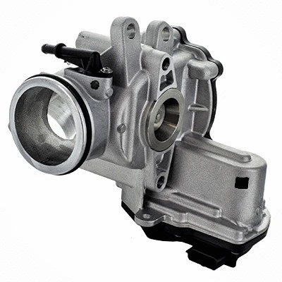 EGR Valve (88820)