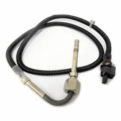 Sensor, exhaust gas temperature (12113)