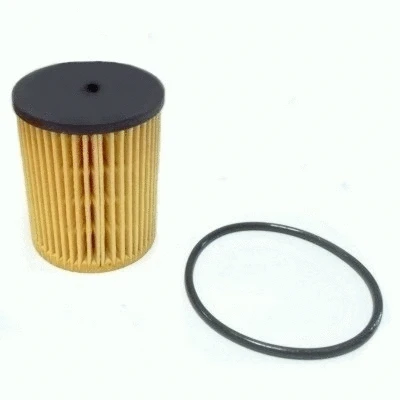 Oil Filter (14002)