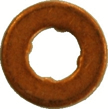 Seal Ring, nozzle holder (9175)