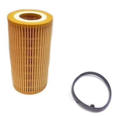 Oil Filter (14059/1)