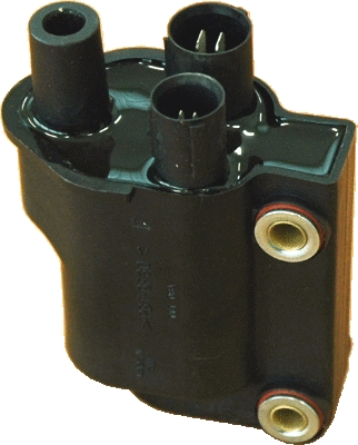 Ignition Coil (10542)