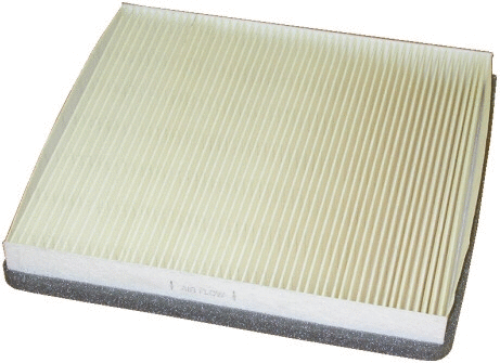 Filter, cabin air (17020)