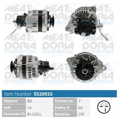 Alternator (5520933)