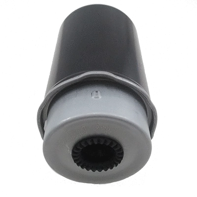 Fuel Filter (5077)