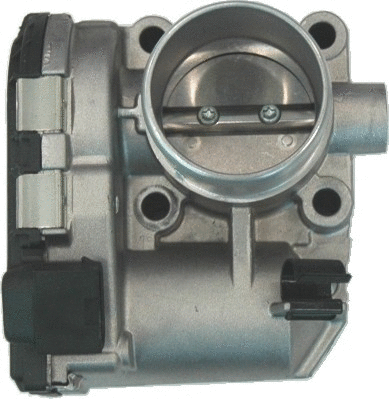 Throttle Body (89068R)