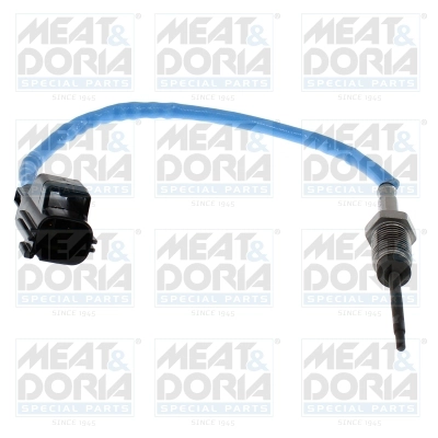 Sensor, exhaust gas temperature (12815)