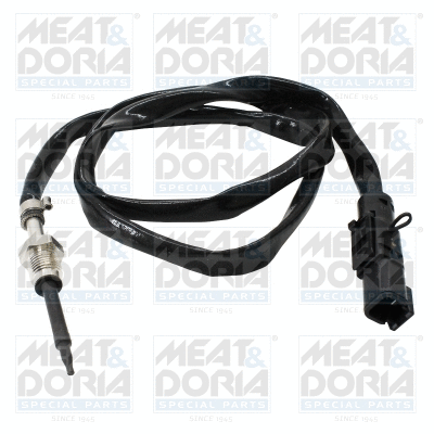 Sensor, exhaust gas temperature (12712)