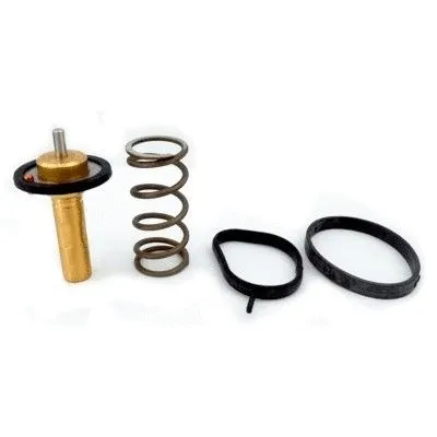 Thermostat, coolant (92839)