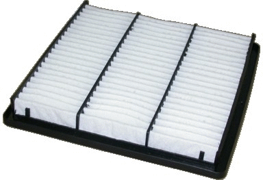 Air Filter (16061)