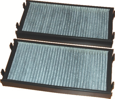 Filter, cabin air (17483FK-X2)