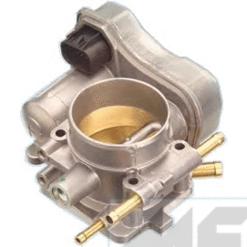 Throttle Body (89033R)