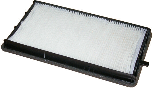 Filter, cabin air (17150F)