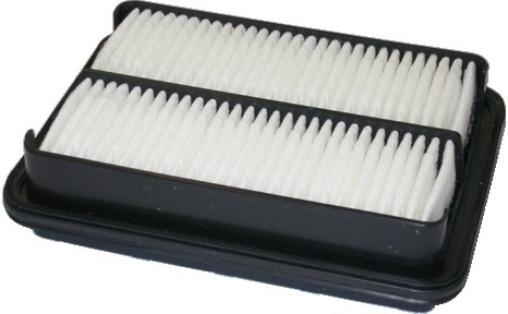 Air Filter (16008)